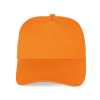 Variation picture for Orange