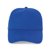 Variation picture for Royal Blue