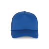 Variation picture for Royal Blue