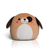 Variation picture for Dog