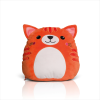 Variation picture for Ginger Cat