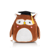 Variation picture for Wise Owl